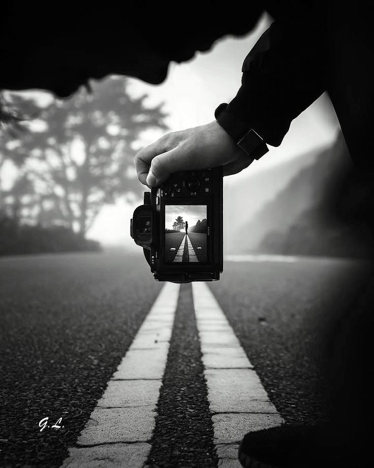 Scopri di più sull'articolo Fotografie