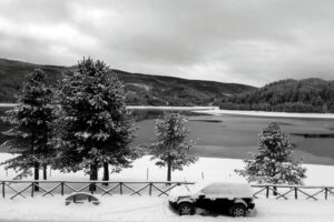 Loris e la neve