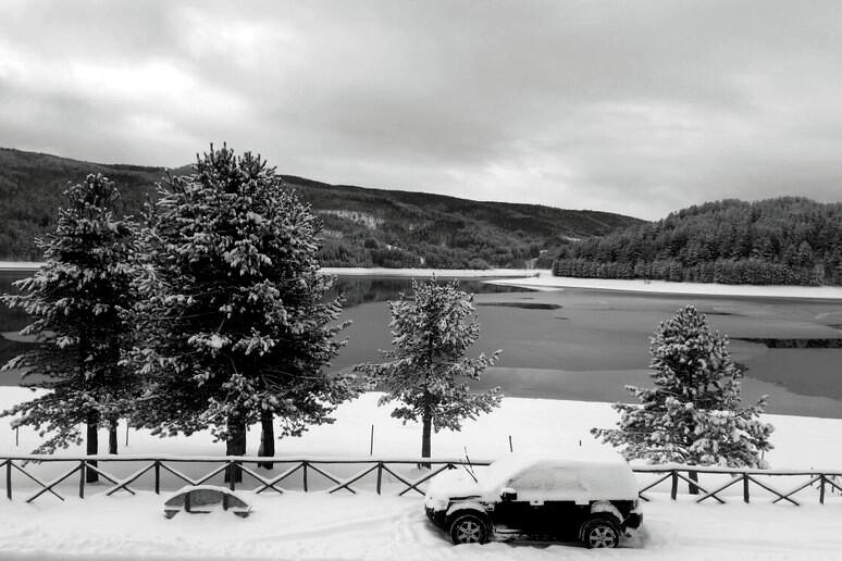 Scopri di più sull'articolo Loris e la neve