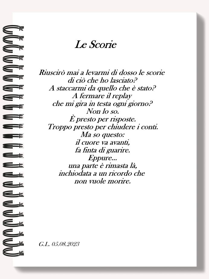 Al momento stai visualizzando Le scorie